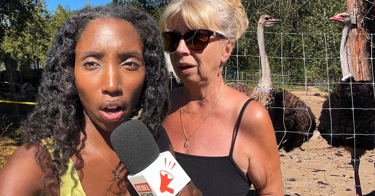 B.C. ostrich farm supporters speak out against CFIA cull, while farmers await help from Trump admin
