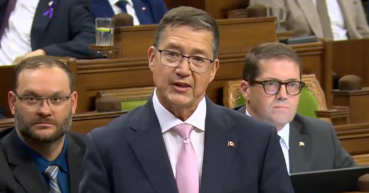 Bill C-3 would grant citizenship to ‘Canadians of convenience,’ Tories say