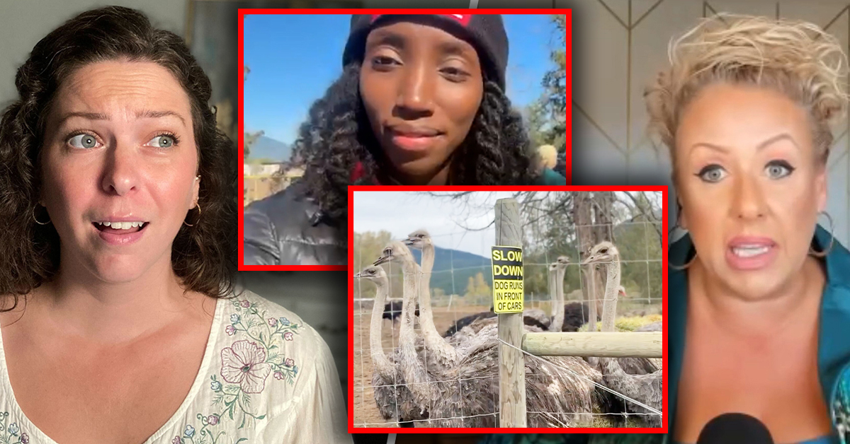 Drea Humphrey checks in from Universal Ostrich Farms ahead of imminent cull