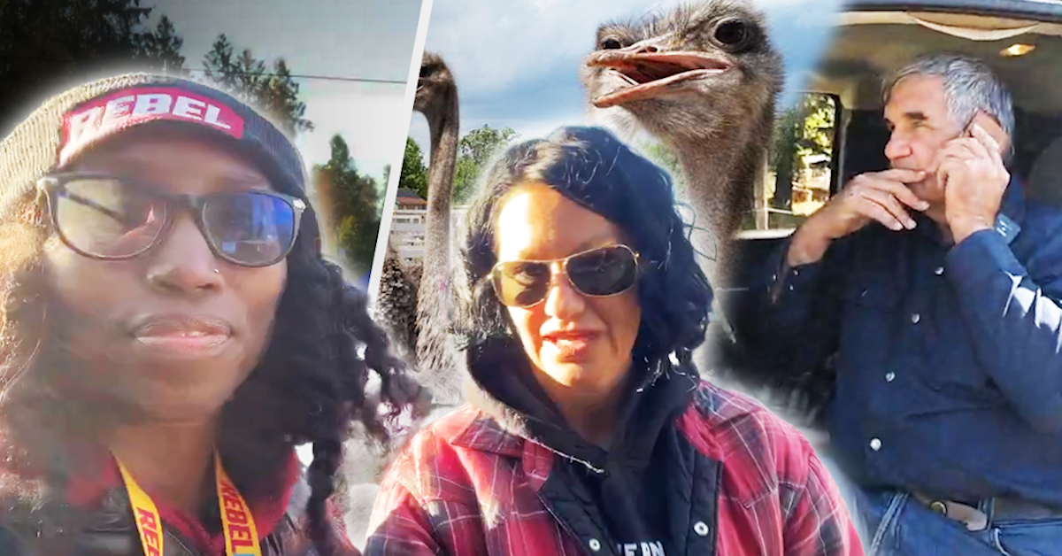DAY 2: Tensions rise as RCMP prep for ostrich cull