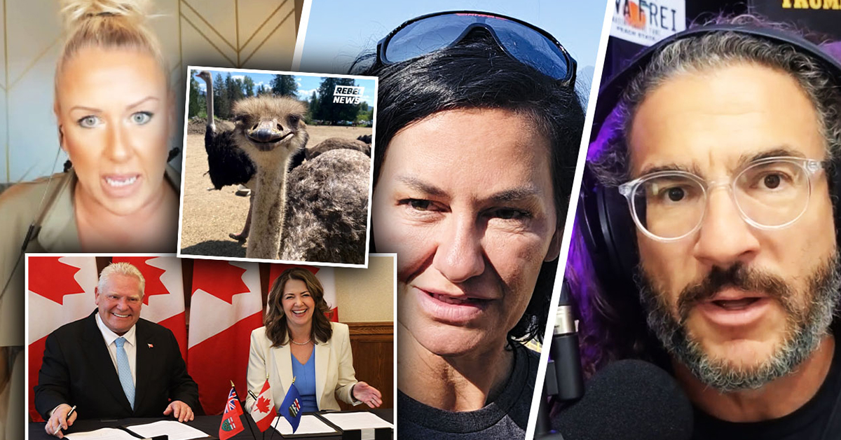 Ostrich cull is 'litmus test' for Conservative leaders