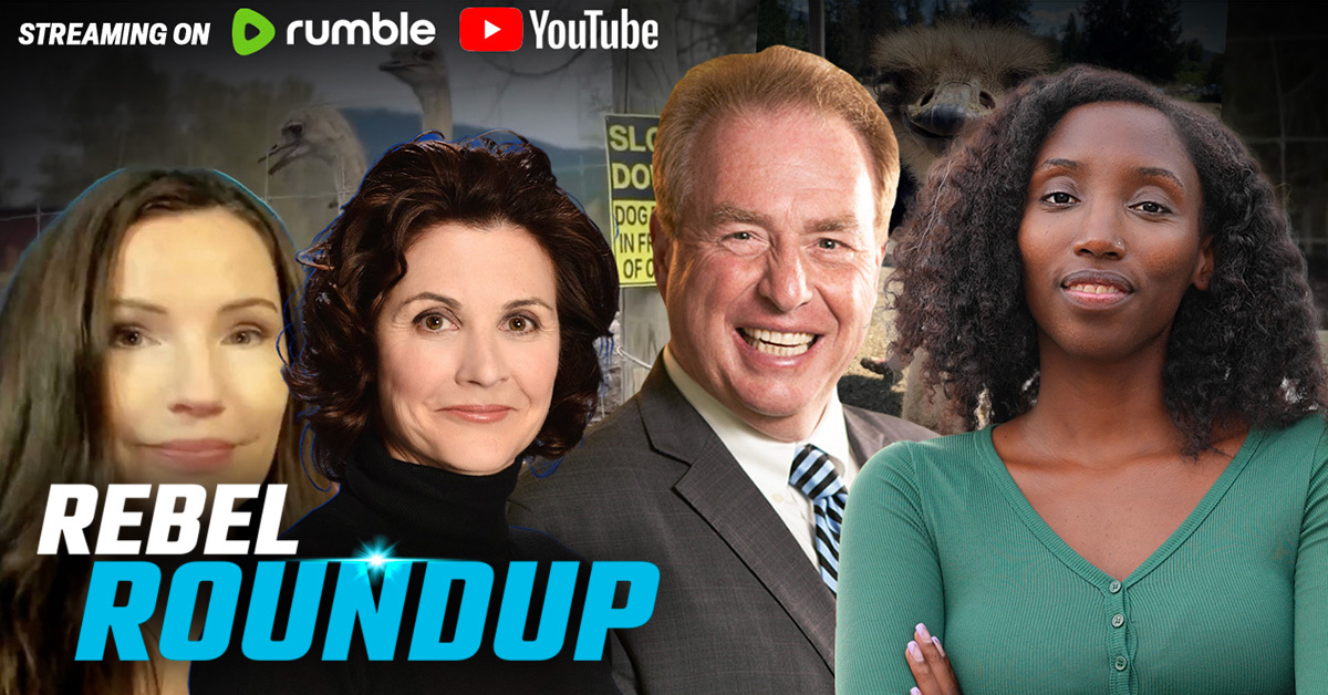 🔴Ostrich latest, BC Conservatives boot another MLA, Digital ID coming to the West? | Rebel Roundtable