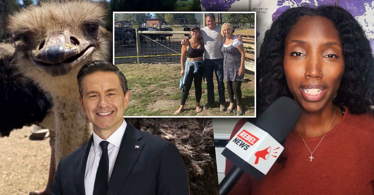 'Explain yourselves': Conservative MP Scott Anderson takes ostrich fight to Parliament