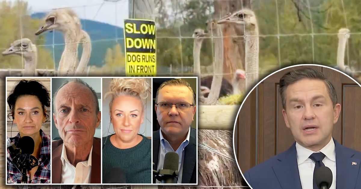 Some conservatives say Poilievre should show more support for embattled B.C. ostrich farm