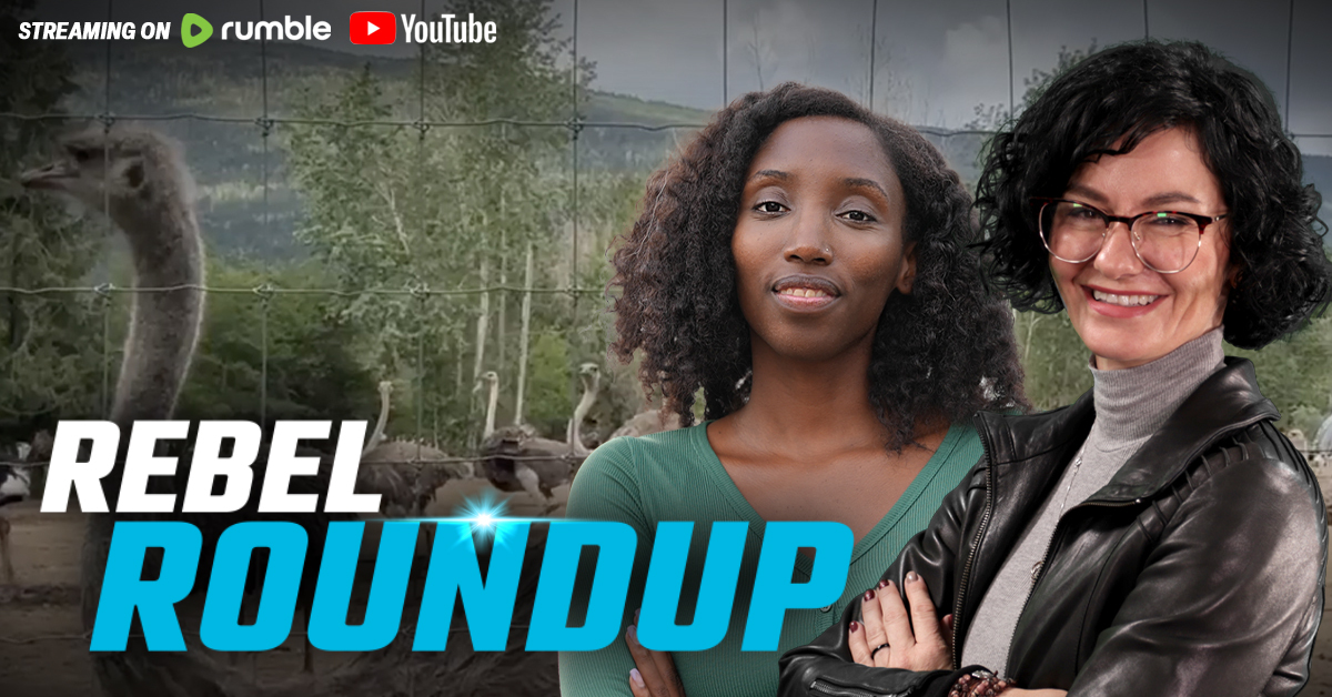 🔴Rebels return to BC ostrich farm, CBC laughs at Antifa assault on Alexa Lavoie | Rebel Roundtable