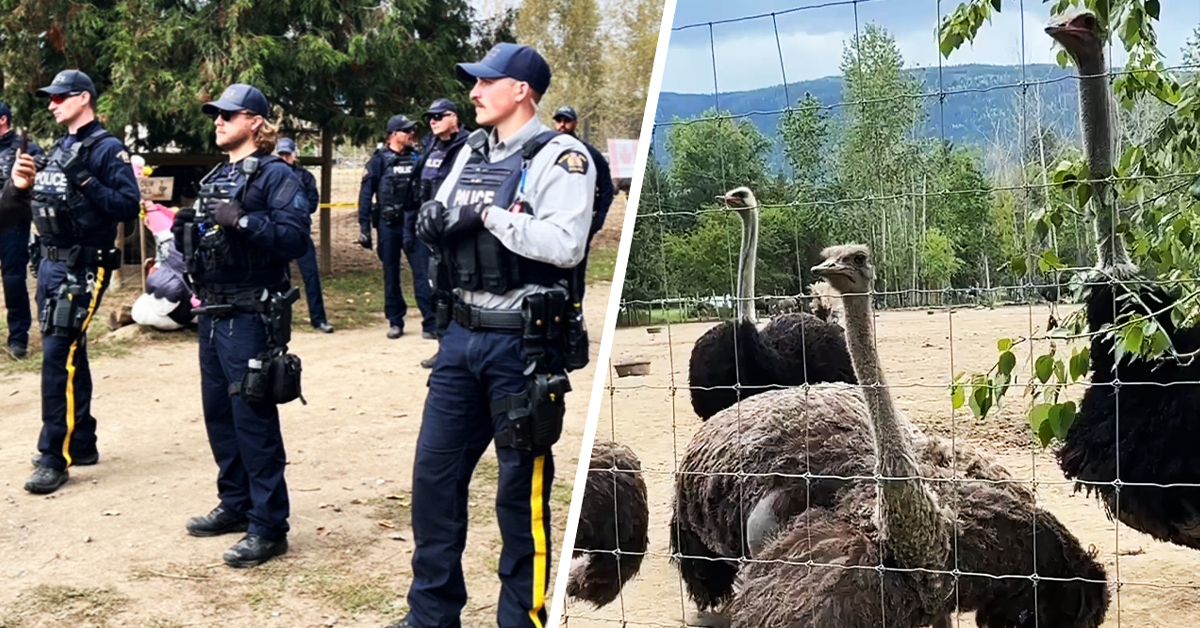 UPDATES: Police tactical team spotted near ostrich farm as supporters pray for 'miracle'