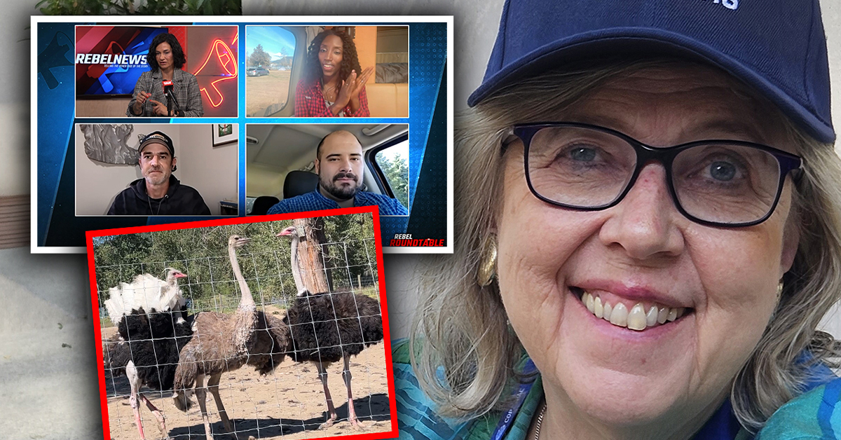 Elizabeth May defends B.C. ostriches — but can't resist a swipe at their 'MAGA' supporters