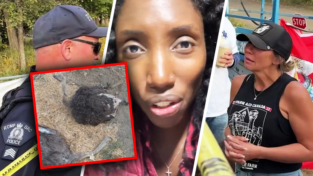 WATCH: Drea Humphrey demands justice after leaked footage shows injured and seemingly neglected ostrich