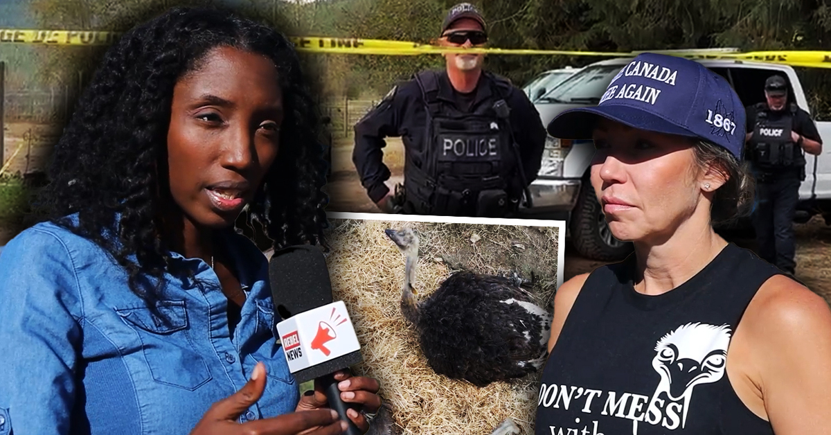 BUSTED: Footage appears to catch CFIA officials faking care for dying ostrich 'Spirit'