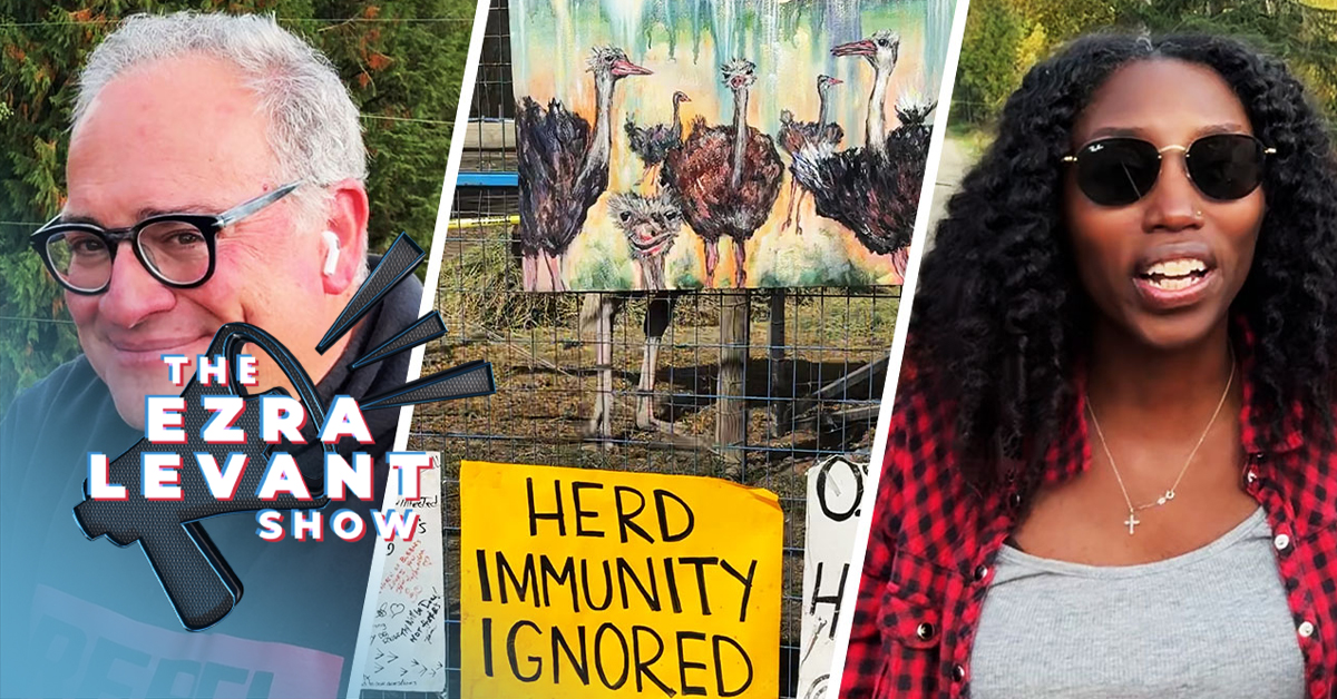 Here's what I saw at the ostrich farm