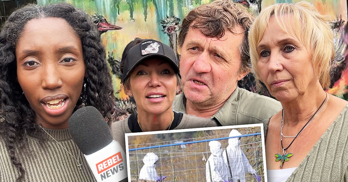 Ostrich veterinarian granted limited access to seized flock after CFIA animal cruelty claims go viral