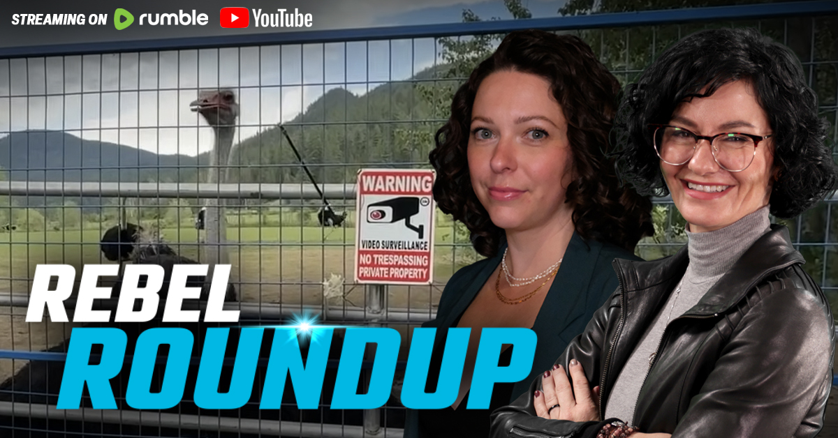 🔴Live from ostrich farm, Trump lists Antifa as terrorists, Poilievre calls out Carney | Rebel Roundup