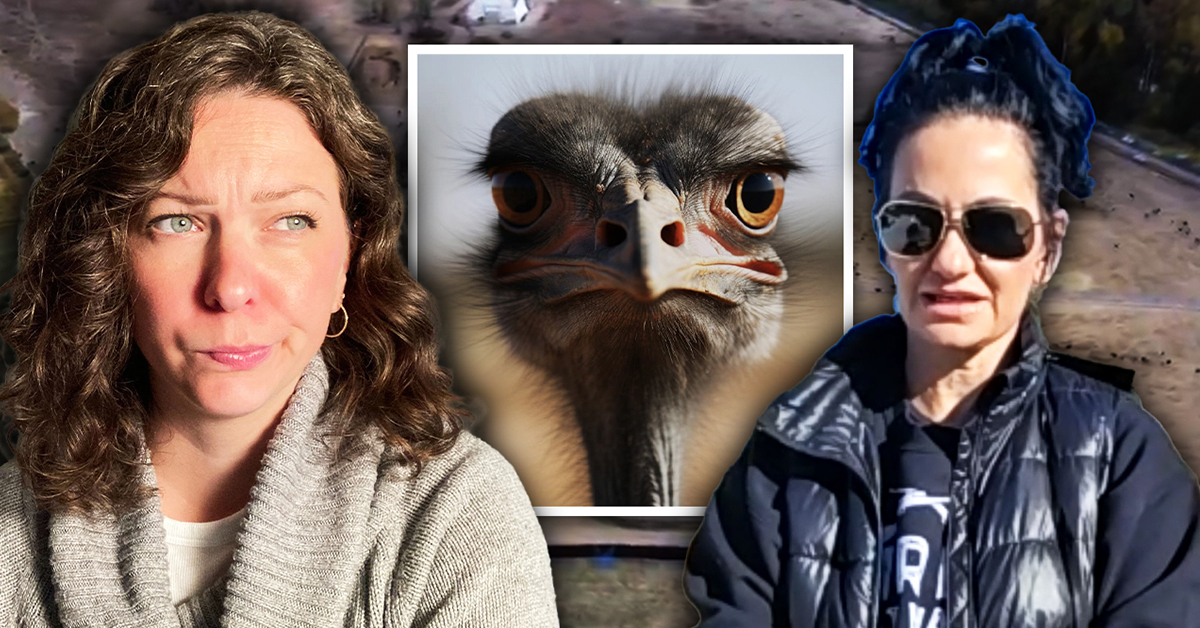 Relative calm as ostrich farm awaits Supreme Court decision