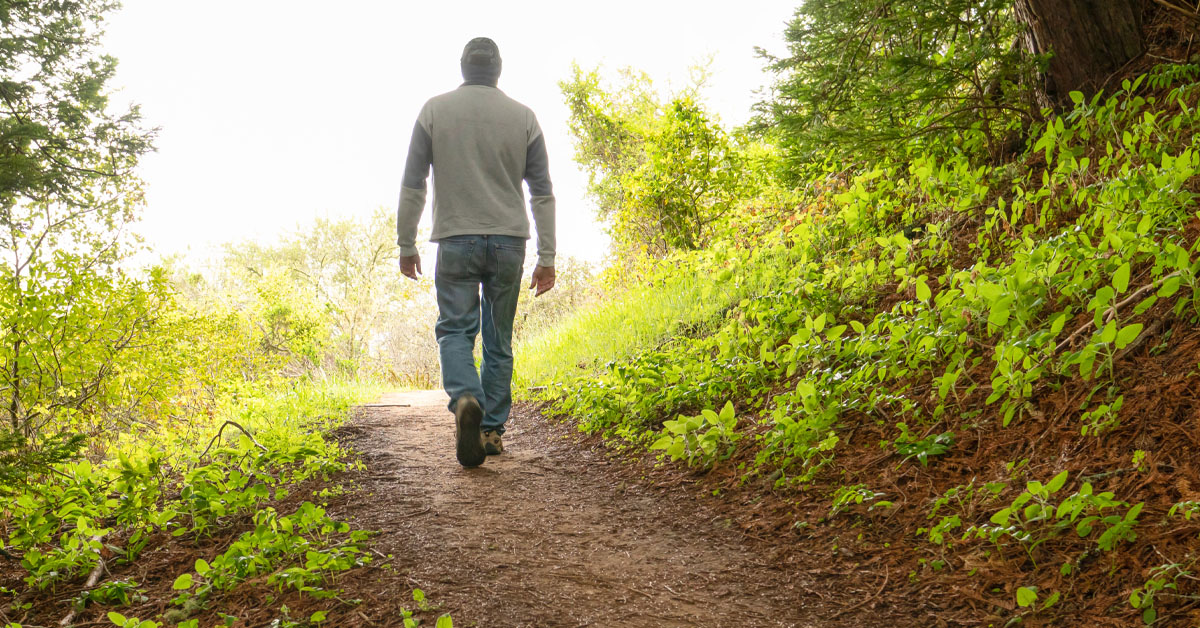 Nova Scotia’s climate madness: Walking in the woods garners larger fine than starting a wildfire