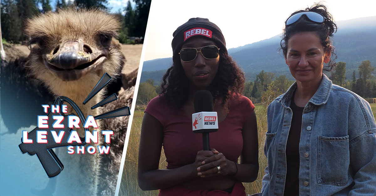 Mainstream media buries the truth of B.C. ostrich story