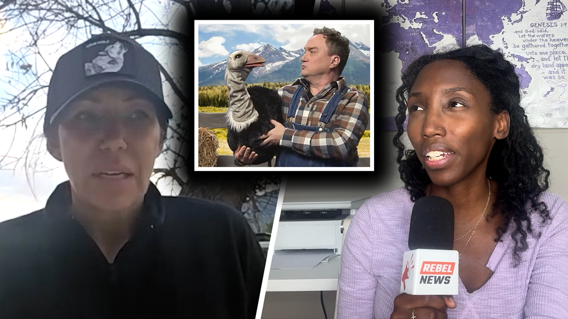 Farmer reacts as CBC propaganda against ostrich farm hits new low