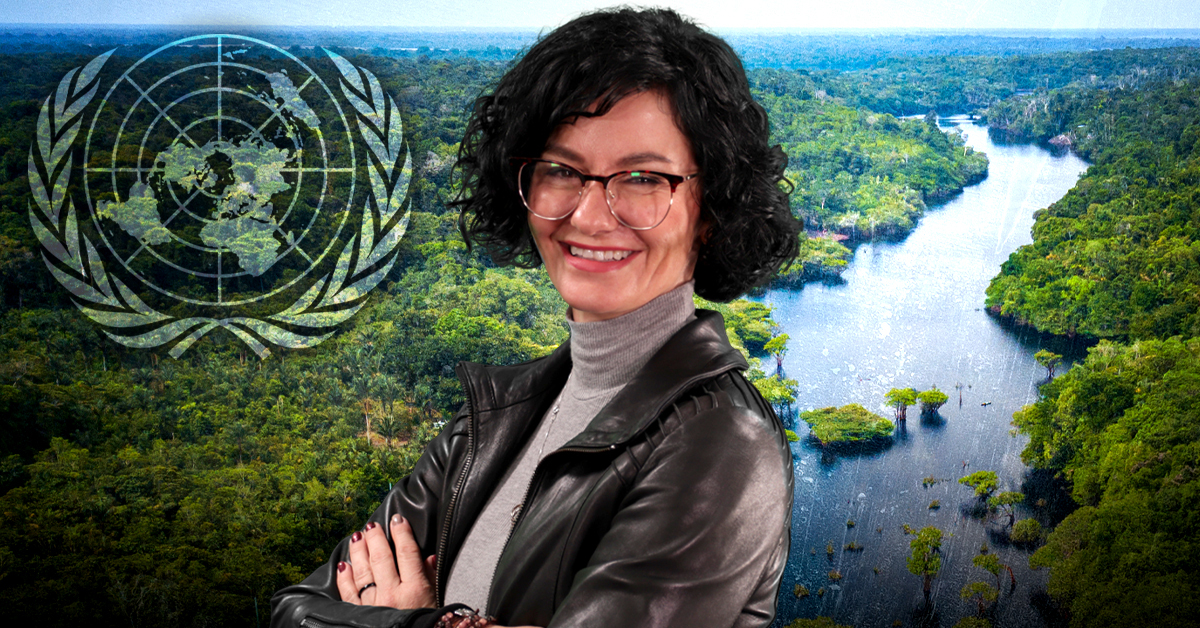 United Nations Reports