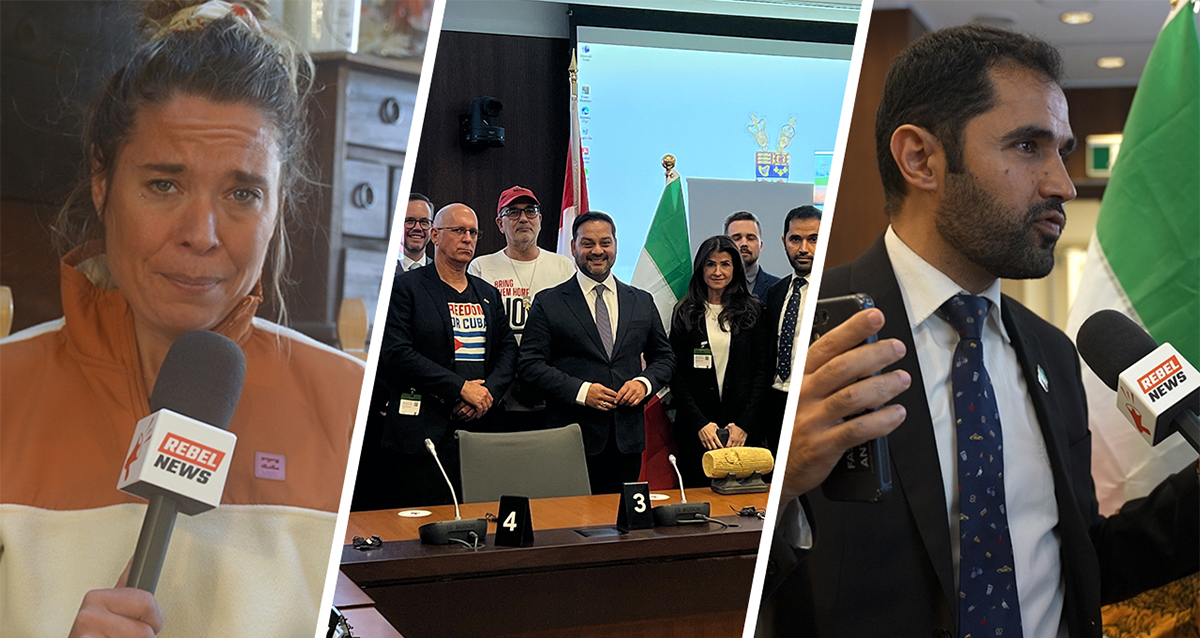 Inside the House of Commons 'Foreign Threats Conference'