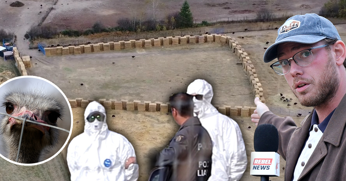 Canada's morality in question as mass killing looms