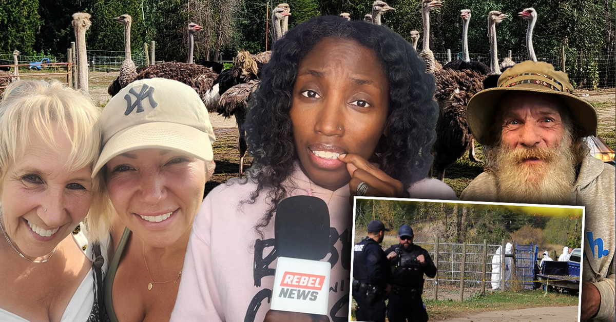 Heartbreak and hope at B.C. ostrich farm ahead of Supreme Court decision