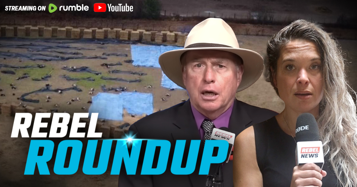 🔴Ostriches killed by CFIA, Poppy banned in court, Liberals continue mass migration | Rebel Roundtable