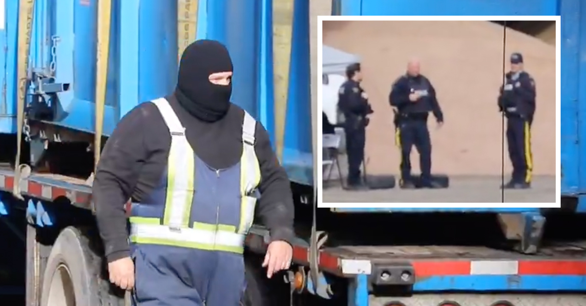 WATCH: Masked men in trucks appear to remove ostrich carcasses after government cull