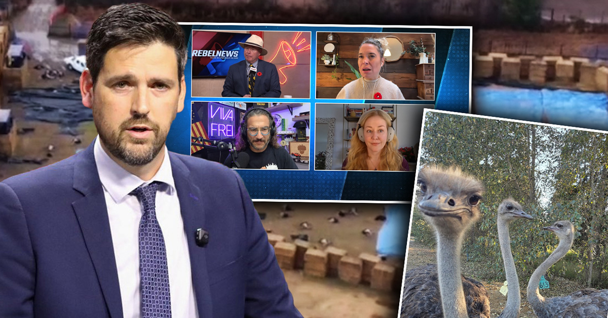 'Absolute buffoon' Sean Fraser is 'pleased' Supreme Court backed ostrich cull