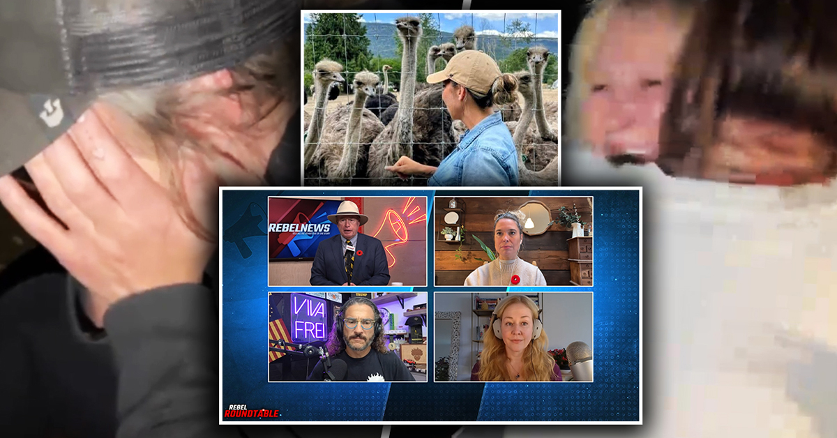 'This is what tyranny looks like': Rebel Roundtable reacts to RCMP role in CFIA cull