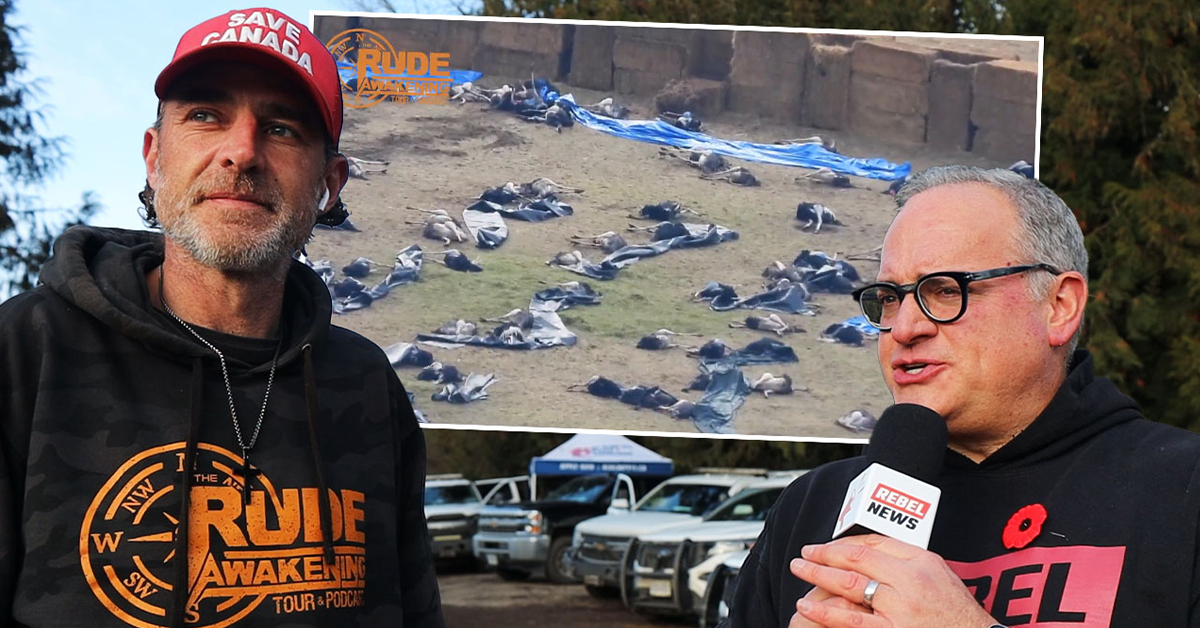 Chris Dacey alleges RCMP 'drone harassment' at ostrich farm