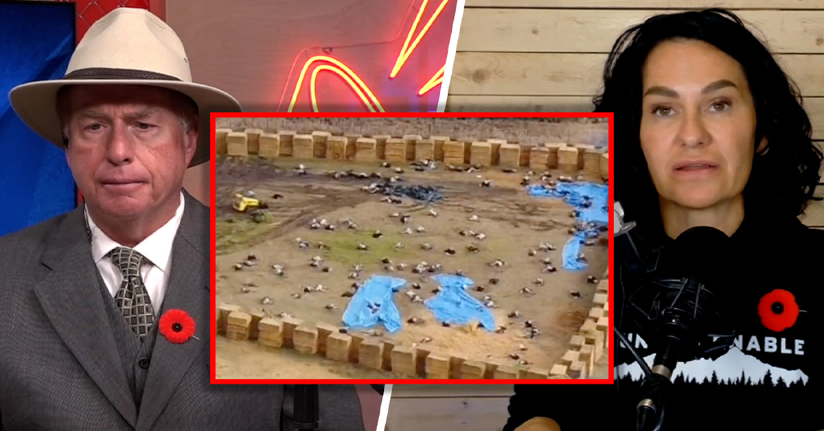 Who did the feds hire to carry out ostrich cull? Canadians deserve to know