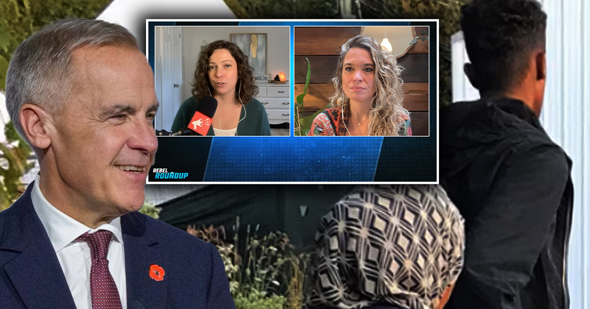 Liberal MP starts petition to allow foreign students and migrant workers facing deportation to remain in Canada