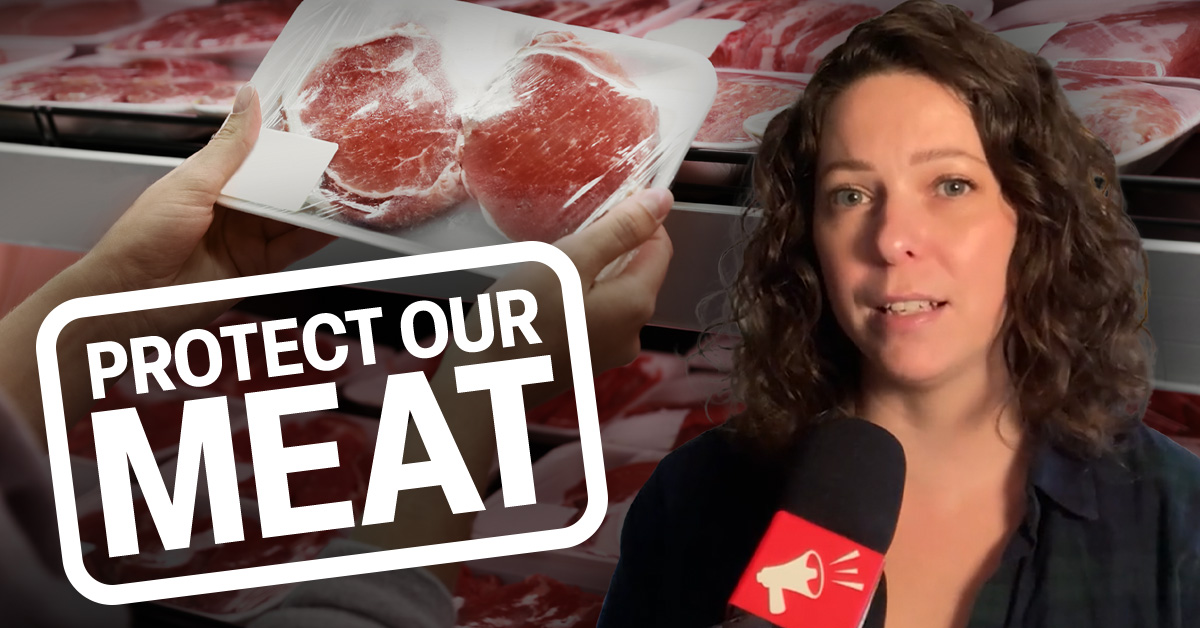 Tell Health Canada: No cloned meat!