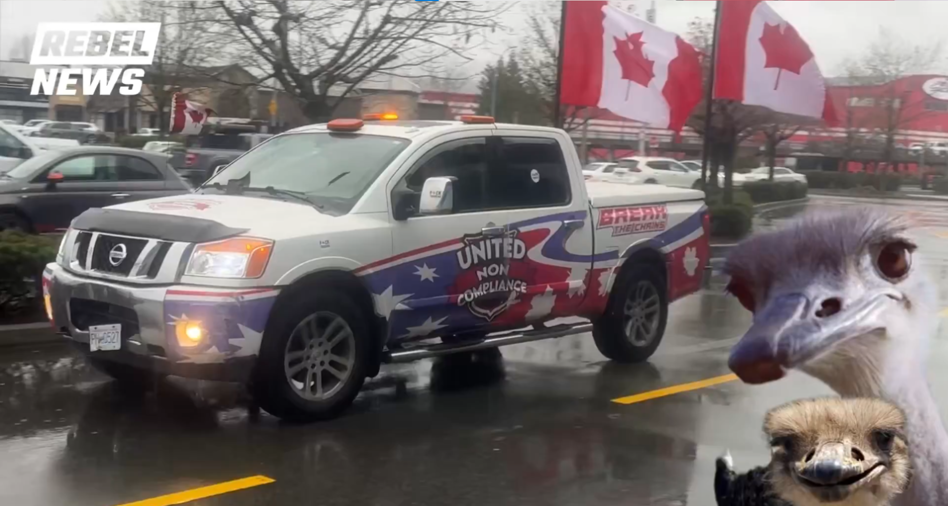 LIVE UPDATES: Cross-country protests condemn CFIA ostrich slaughter