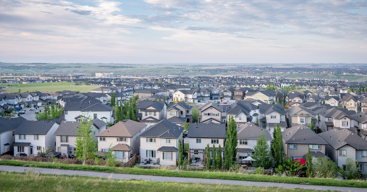 Next News