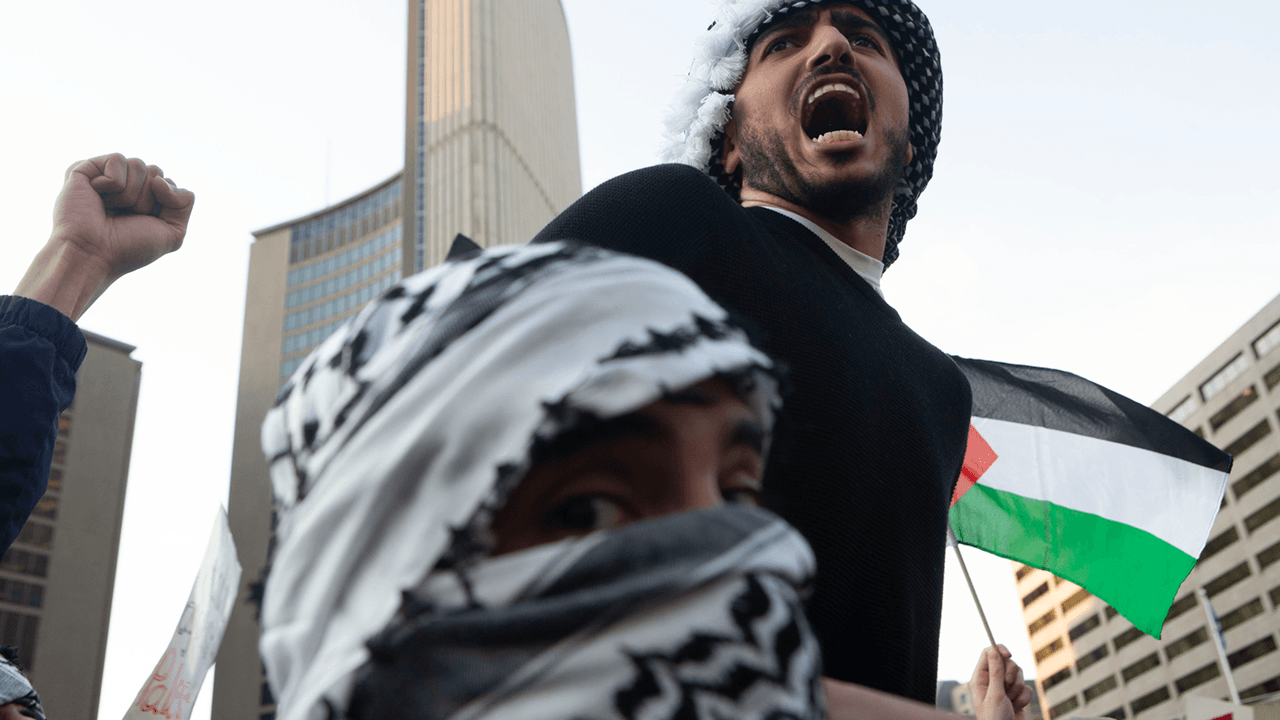 Black Lives Matter declares “solidarity with Palestinians”