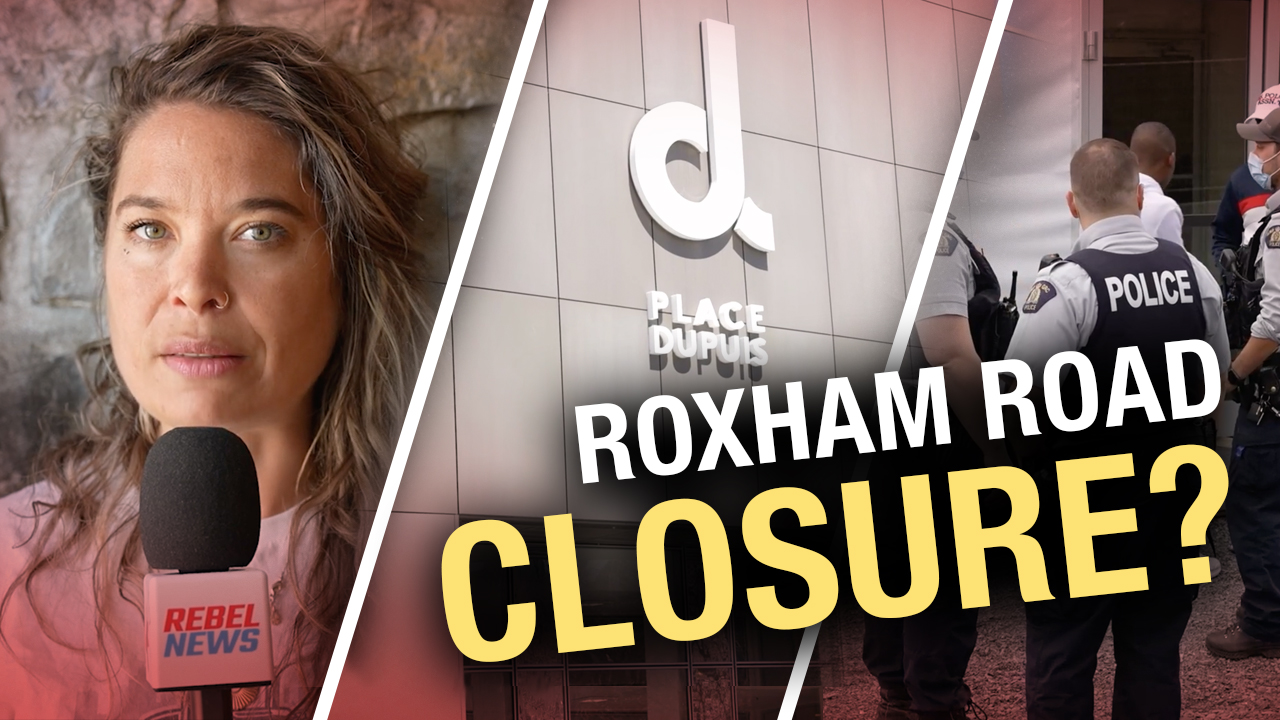 WATCH Interviewing Roxham Road refugees on their journey into Canada