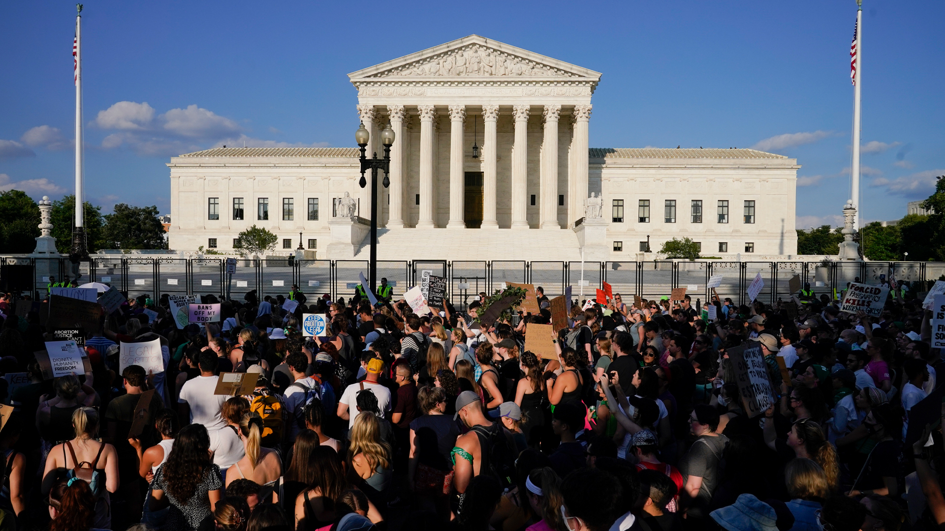 Artist 'Pink' slams SCOTUS ruling on Roe v. Wade - Rebel News