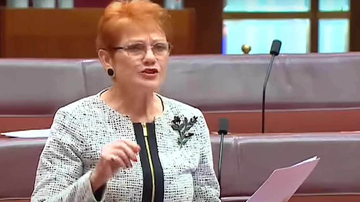 Pauline Hanson warns against 'Australia's version of apartheid'