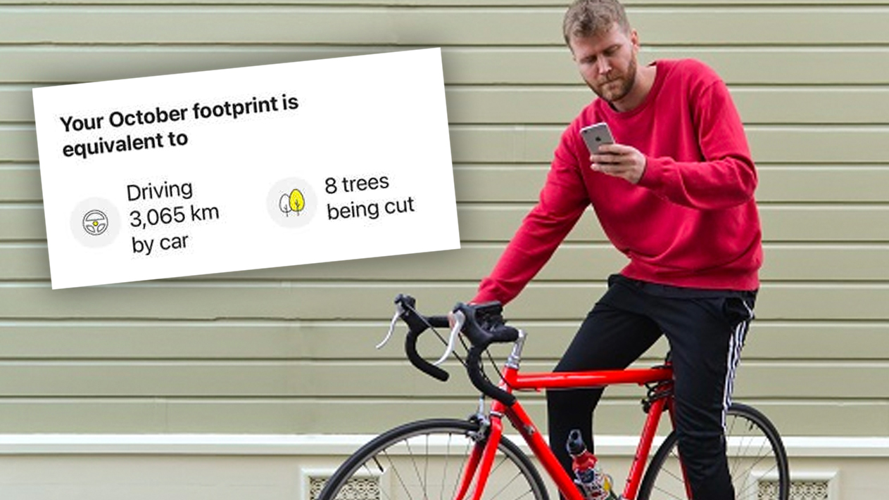 bank-app-tracks-how-many-trees-you-ve-destroyed-with-your-carbon