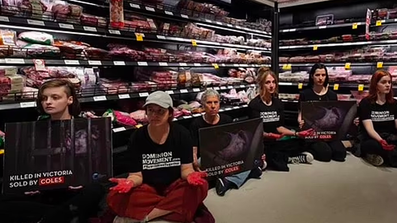 Vegans stage protest inside Melbourne supermarket