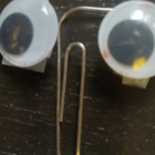 Christopher MacDonald