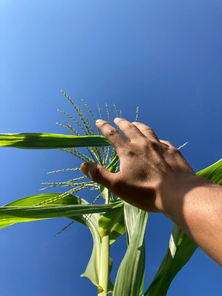 Public Lands for Agriculture: Food Sovereignty for Future Generations