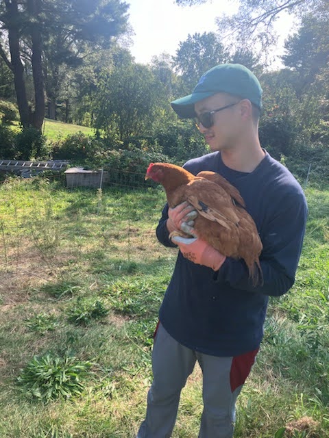 Photo of the author, Veryl Pow, at Longhaul Farm in Garrison, New York in 2024. Veryl is wearing sunglasses, a baseball hat, a long-sleeved shirt, long pants and gardening gloves. He is cradling a brown chicken in his arms.