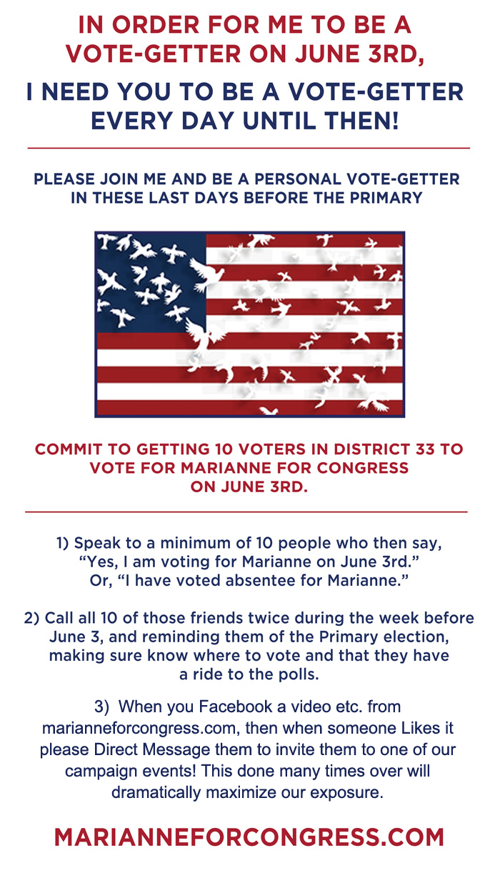 votegetter-3.jpg