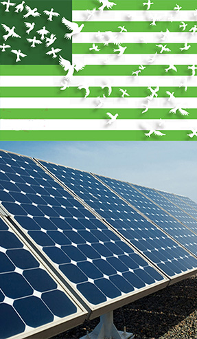 green-panel-image.jpg
