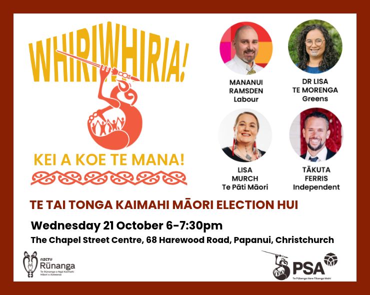 Te Tai Tonga Māori Election Hui preview image