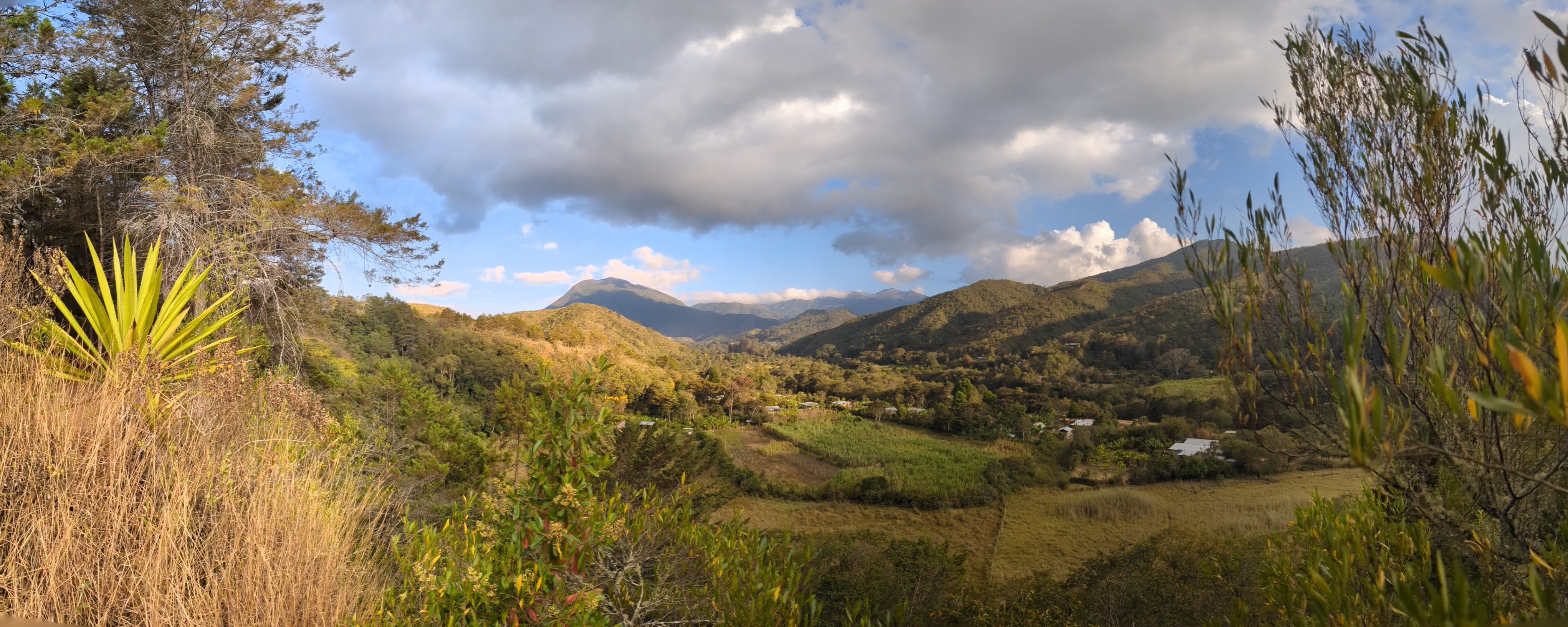 Soluciones para la salud en Colombia | See what we've been working on