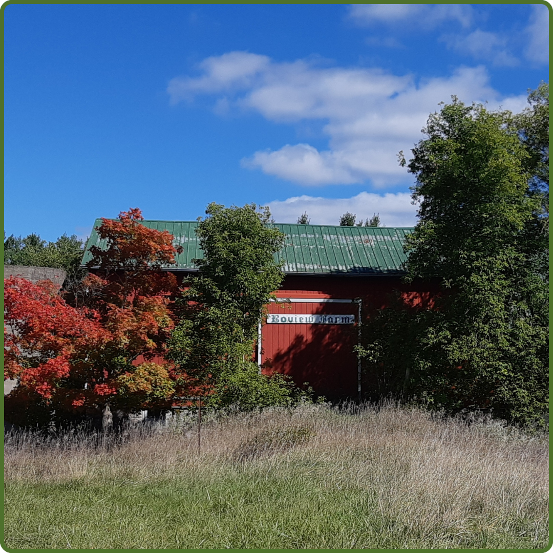 Boview Farm by Payton Landsborough