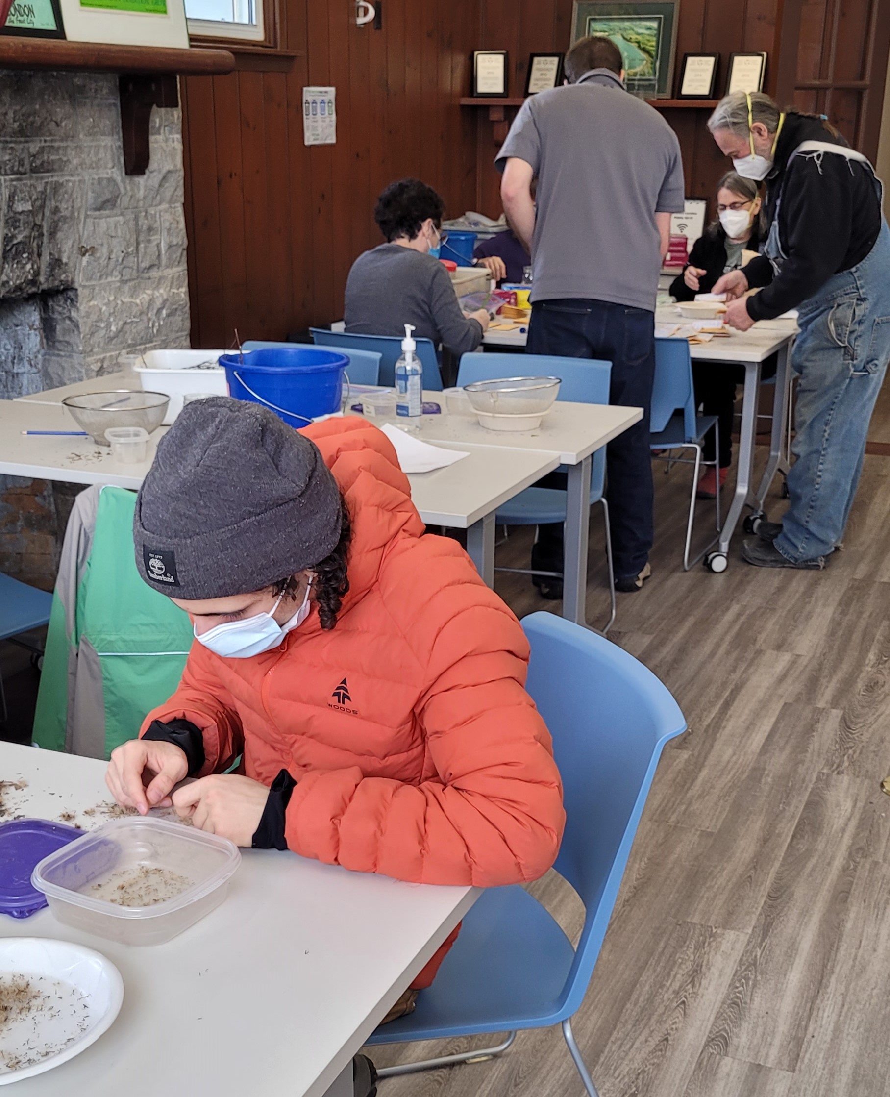 Volunteers processing seed