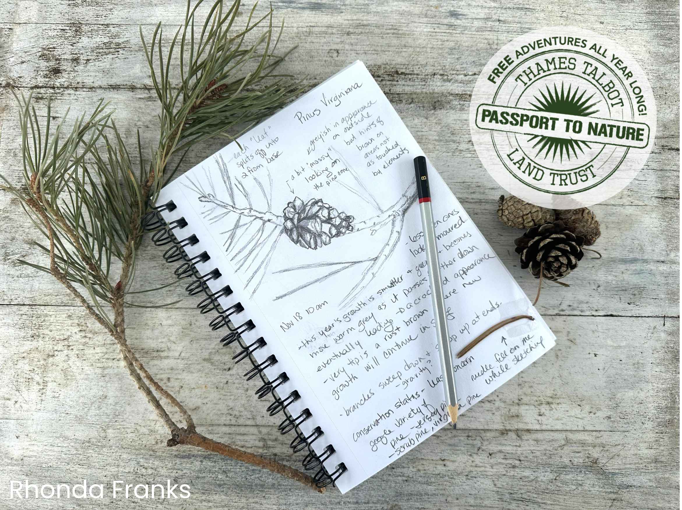 Note book with drawing of a pinecone and writing on the page, passport to nature stamp logo